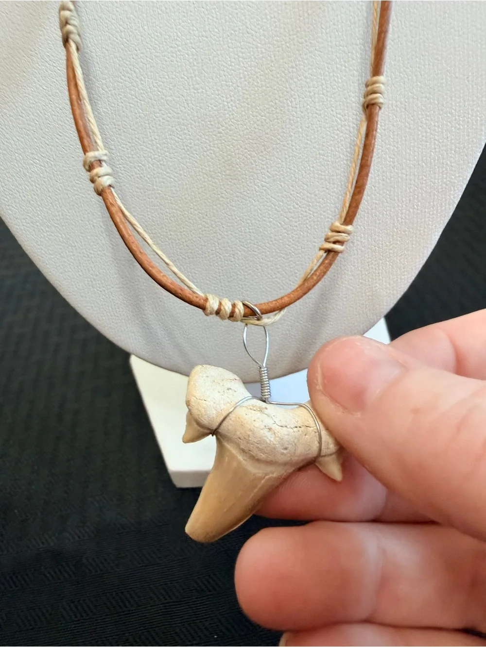 Otodus Shark tooth necklace NWOT